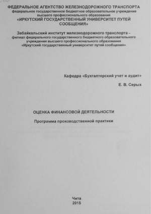 Оценка финансовой деятельности