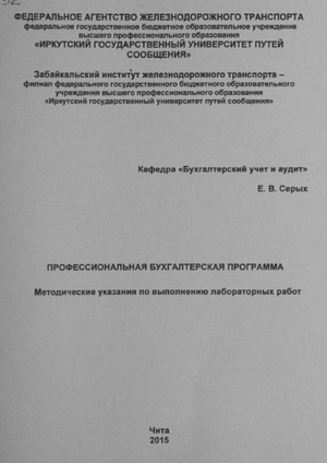 Профессиональная бухгалтерская программа