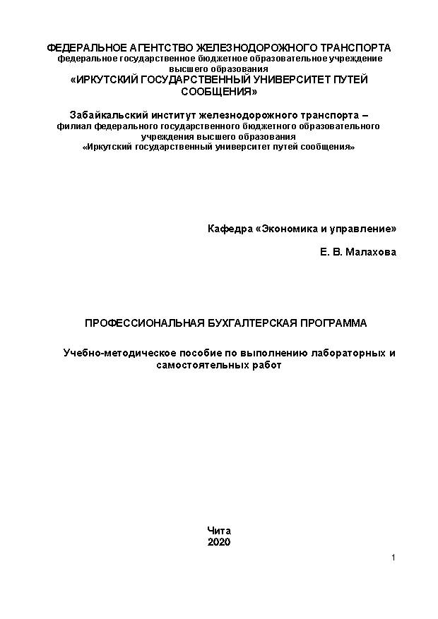 Профессиональная бухгалтерская программа